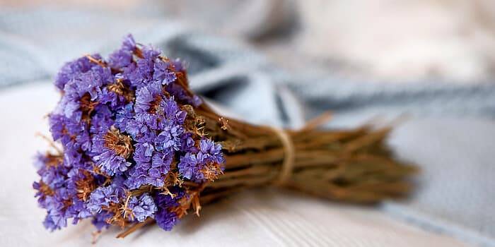 Schönheit bewahren: Ein Leitfaden zur Herstellung atemberaubender getrockneter Blumen