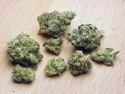 Wie Jealous Strain den modernen Cannabis-Lifestyle prägt