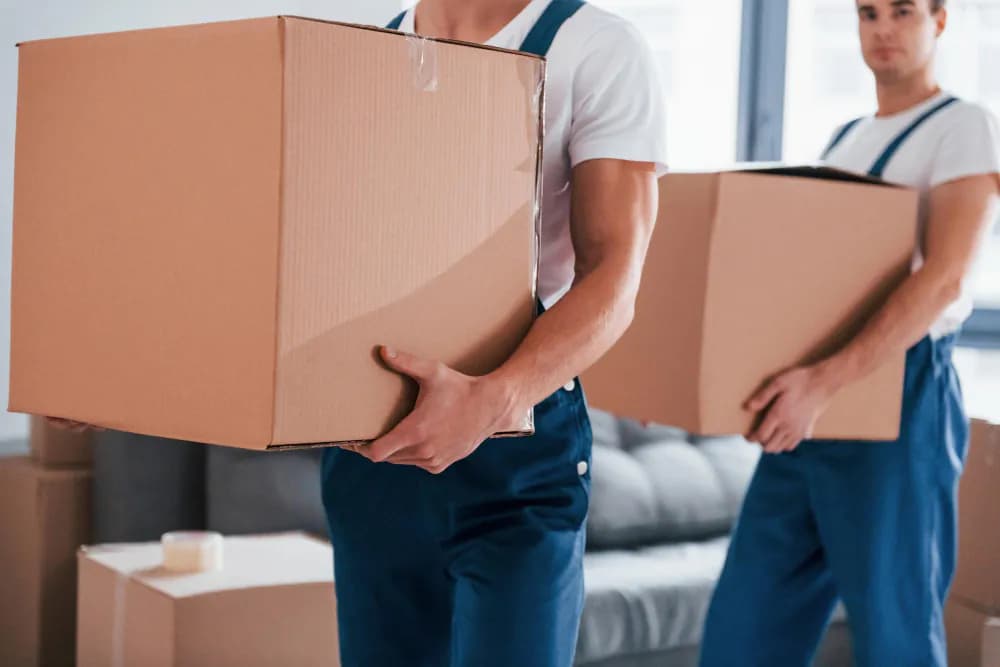 Glanzend und Rein: Gebäudereinigung für den Perfekten Eindruck