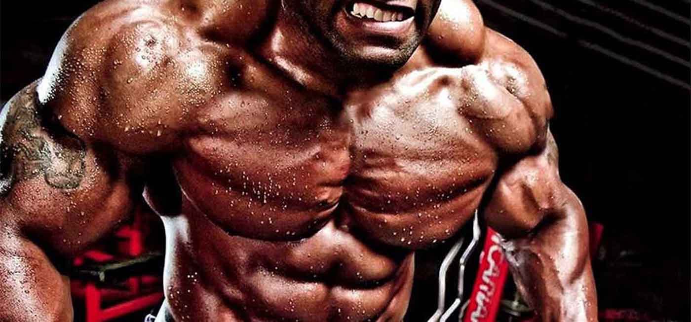 Hi Protein: Die besten Optionen bei Fatburnerking für Muskelaufbau