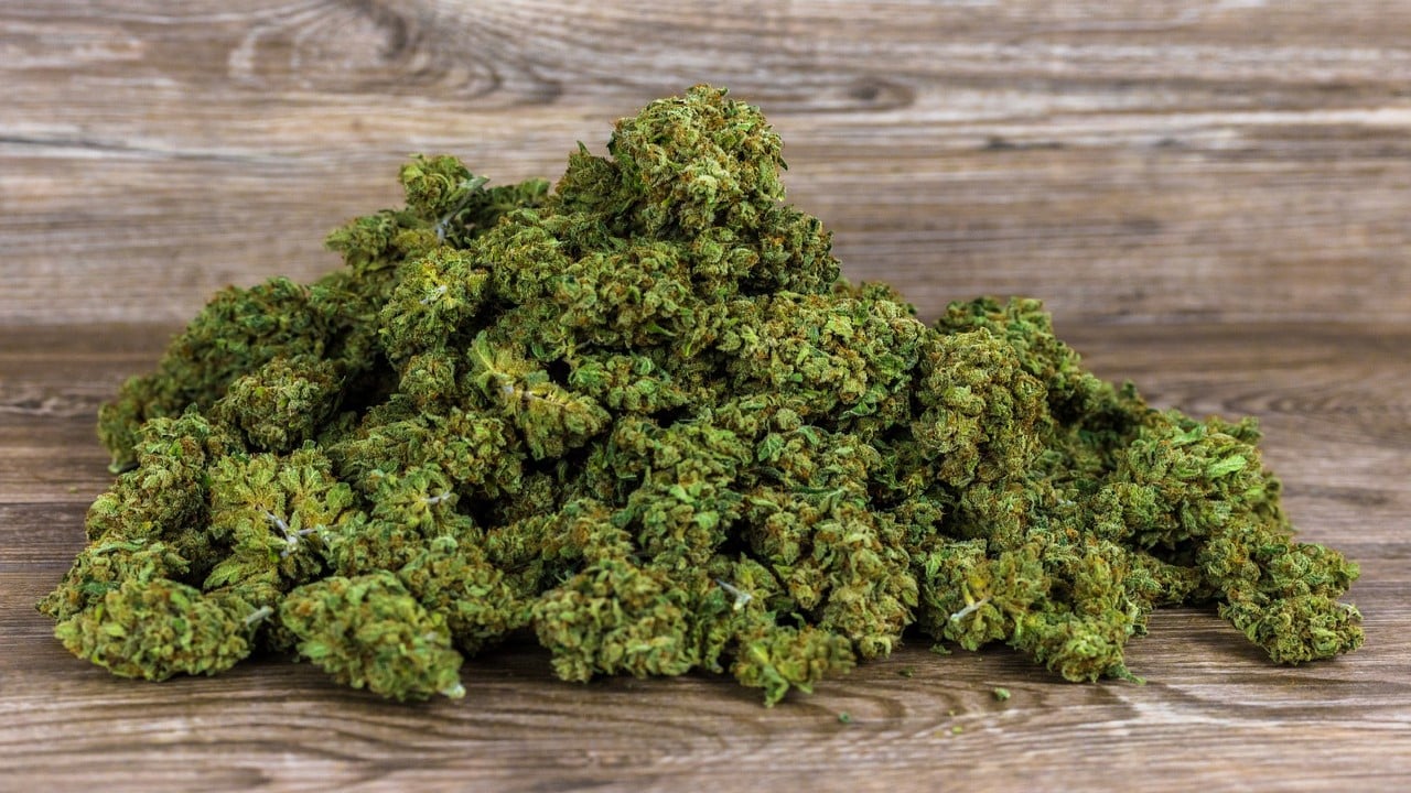 Cannabis Samen und Appetitstimulation: Verstehen Sie die Wissenschaft