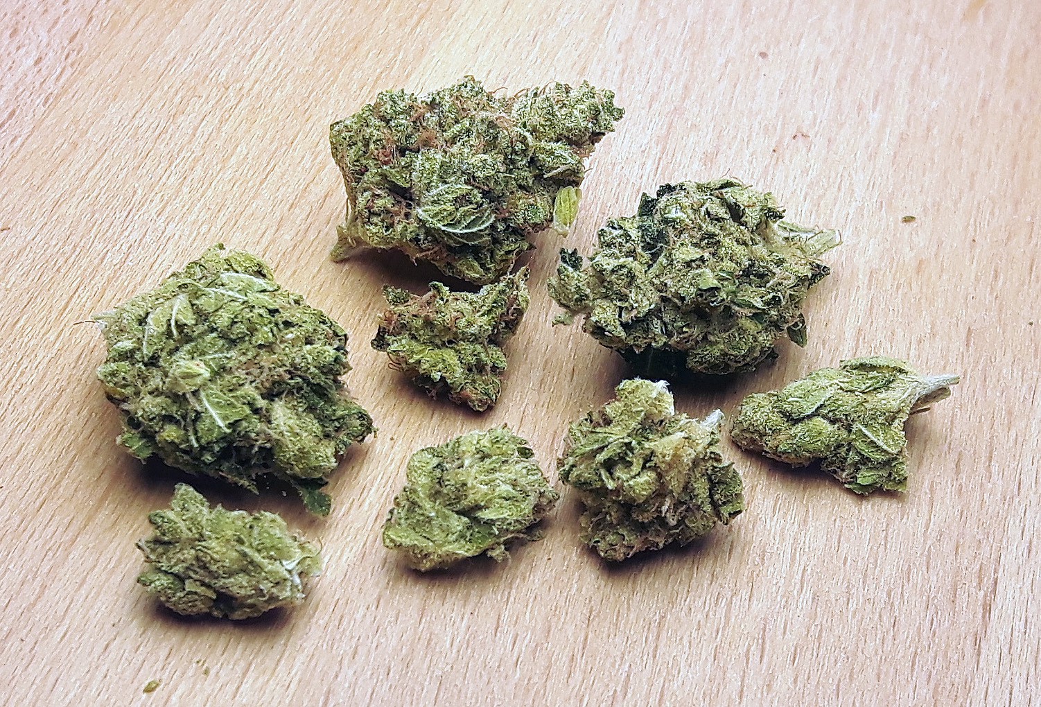 Wie Jealous Strain den modernen Cannabis-Lifestyle prägt
