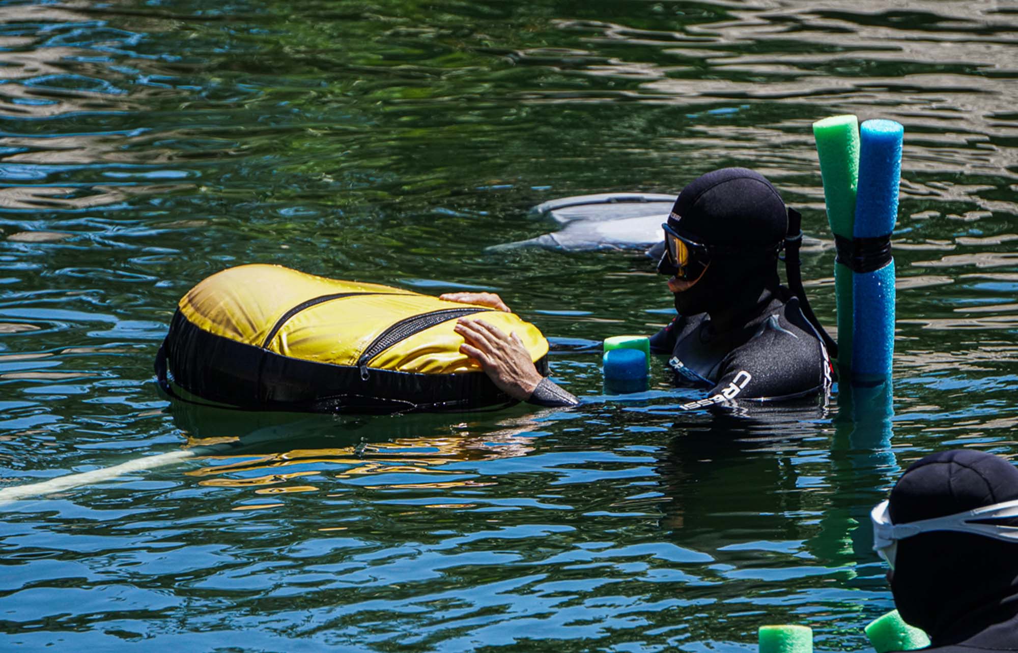 DeepDiveMexico – Die Tauchschule Playa del Carmen für Cenoten-Entdecker
